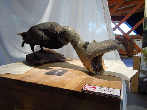 Le Naturoptère Le Naturoptère