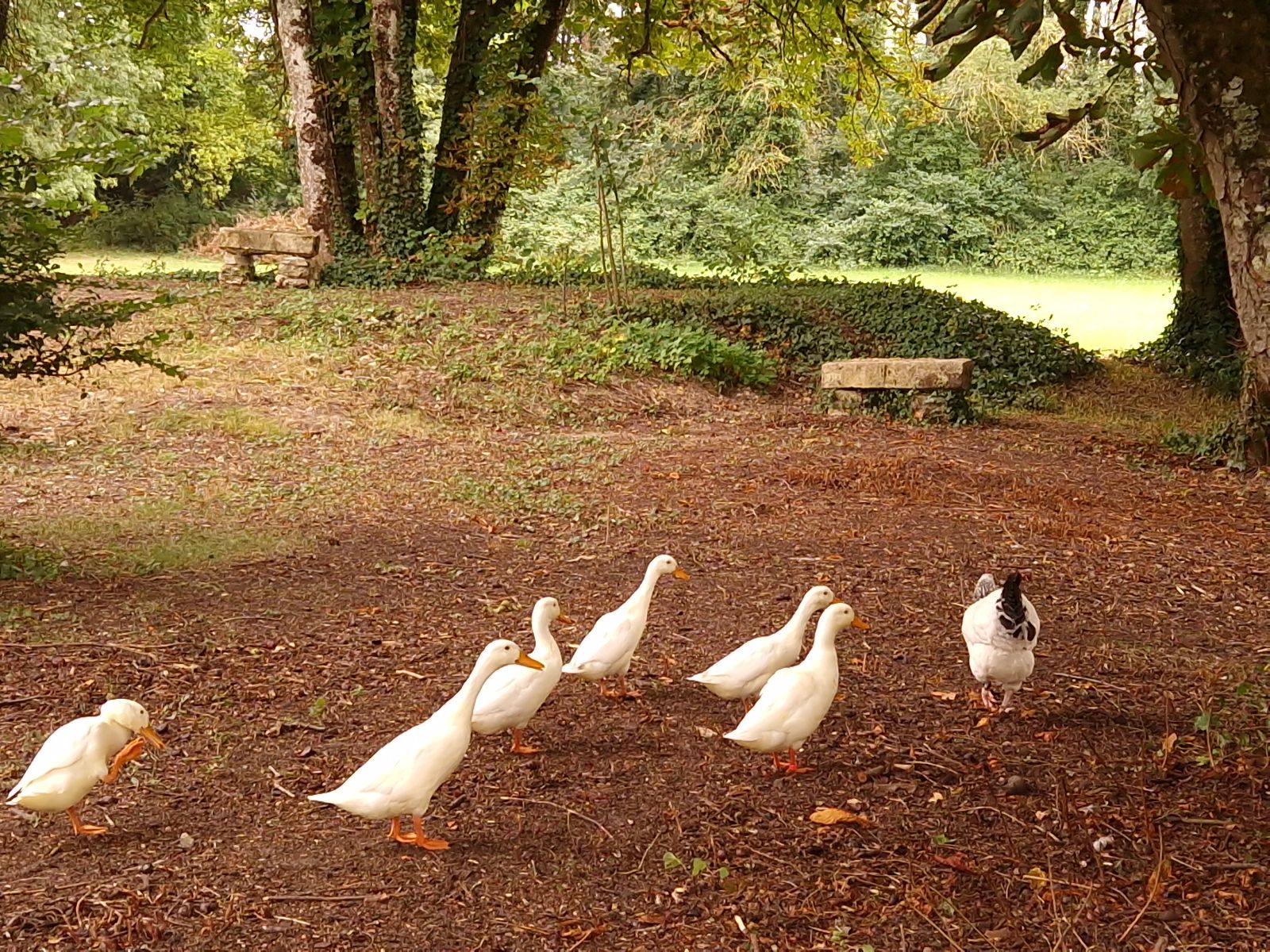En famille dans le parc En famille dans le parc