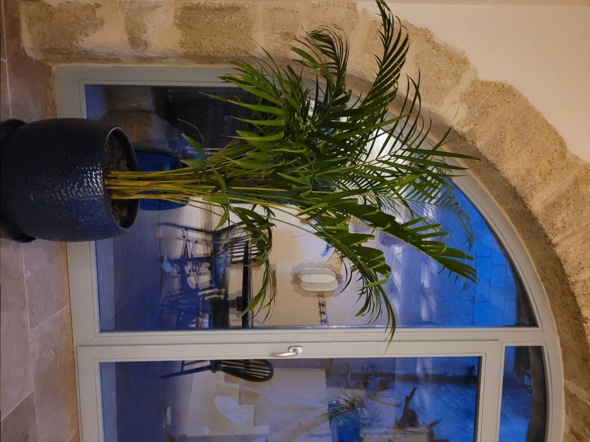 Baie vitrée Baie vitrée