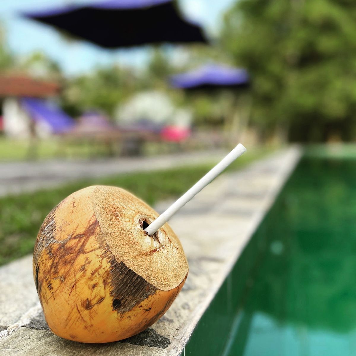 Colonial house Colonial house