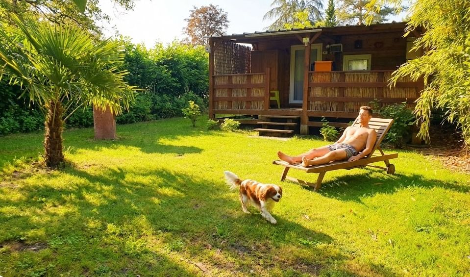 Location de Chalet avec espace vert privatif et sans vis à vis Location de Chalet avec espace vert privatif et sans vis à vis