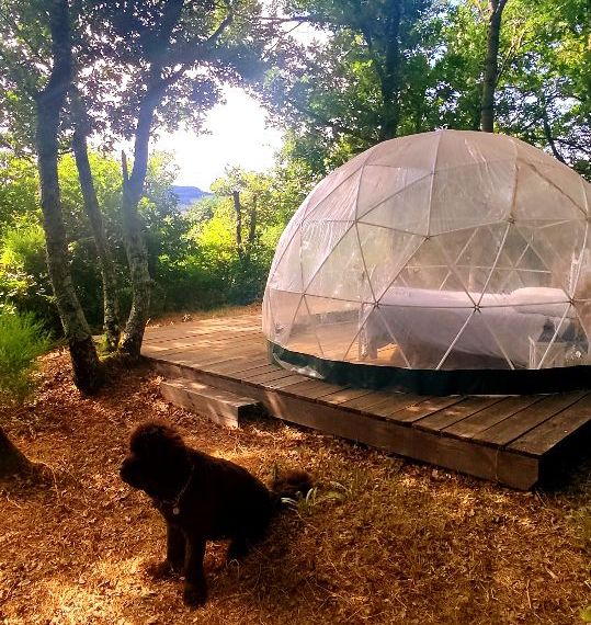 Le dome Le dome