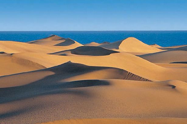 Dunes de Maspalomas 