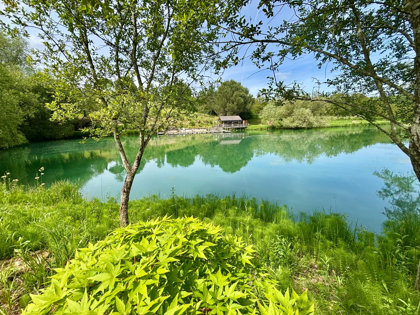 notre etang de baignade