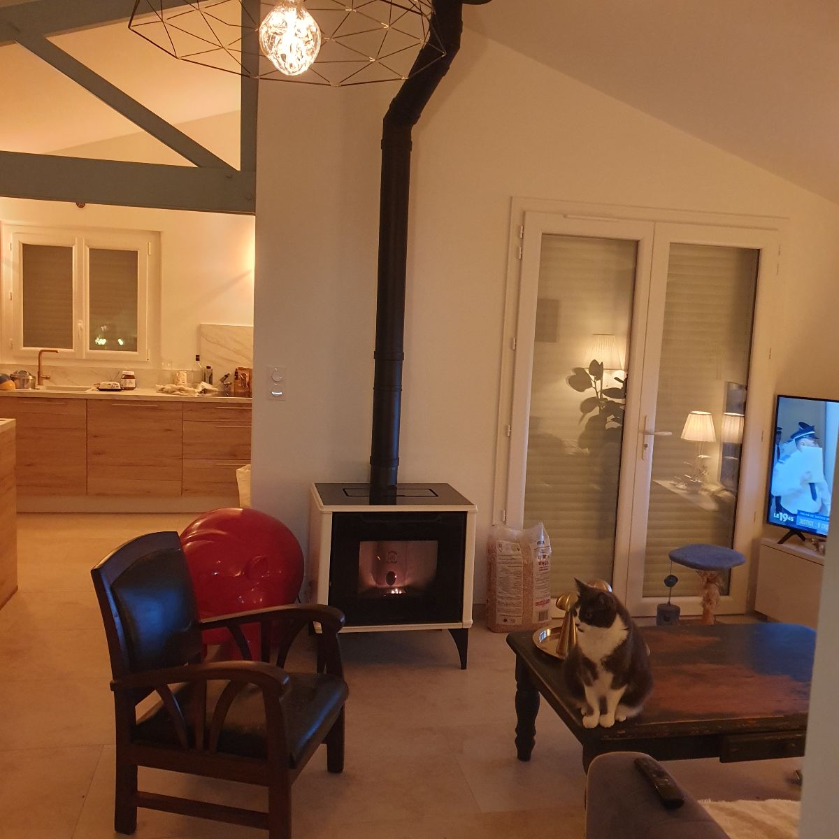 Salon avec le ptit chat ''oui-fi'' Salon avec le ptit chat ''oui-fi''