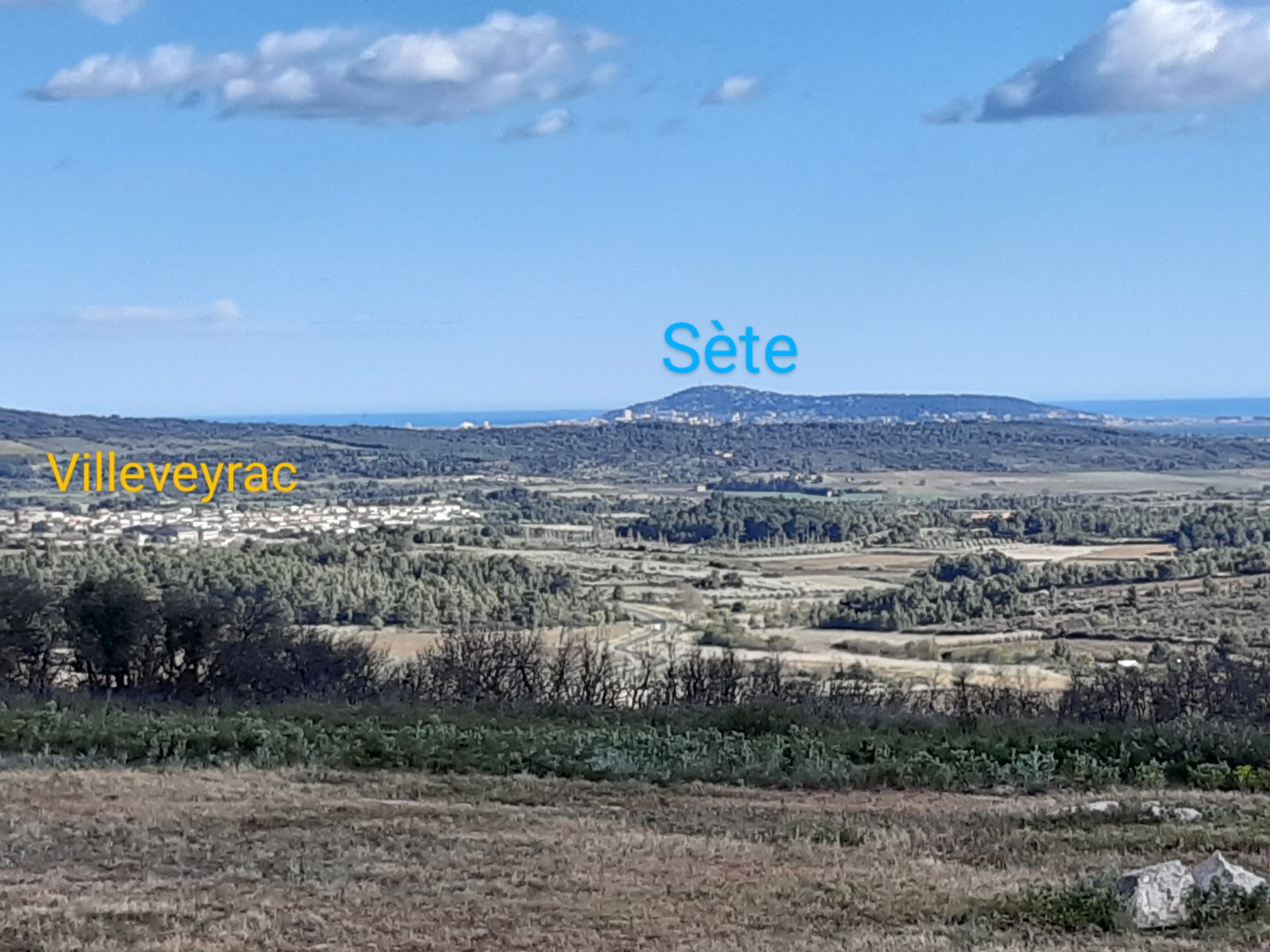 Vue sur Ste, l'le singulire 