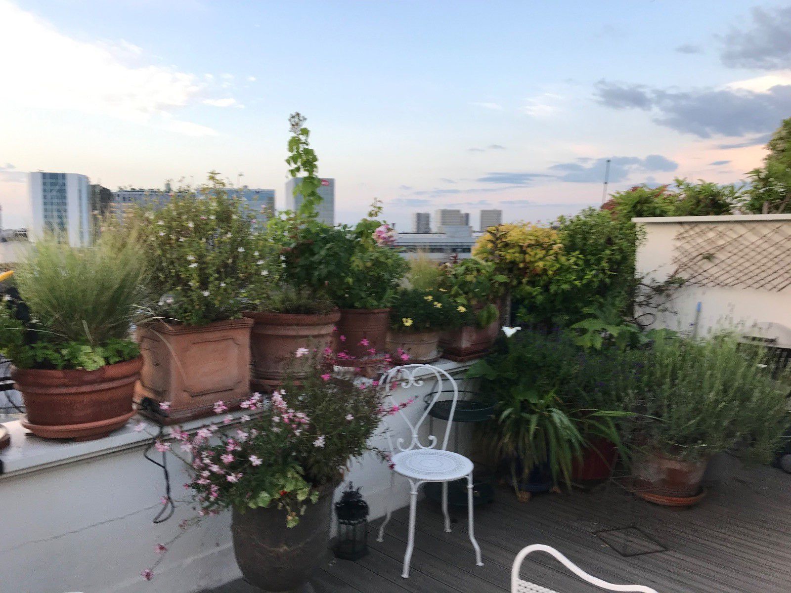 Terrasse de l’appartement Terrasse de l’appartement