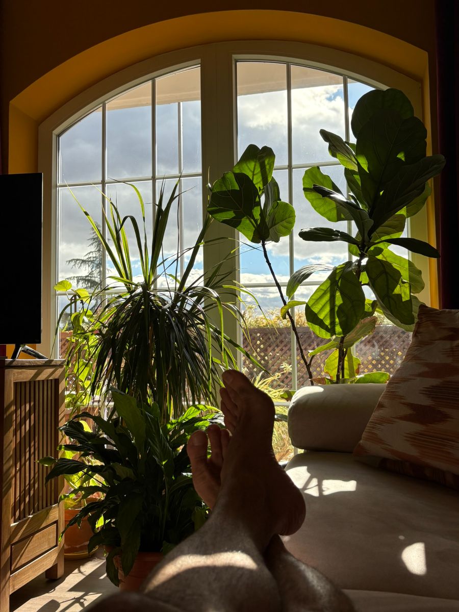 Living room Living room