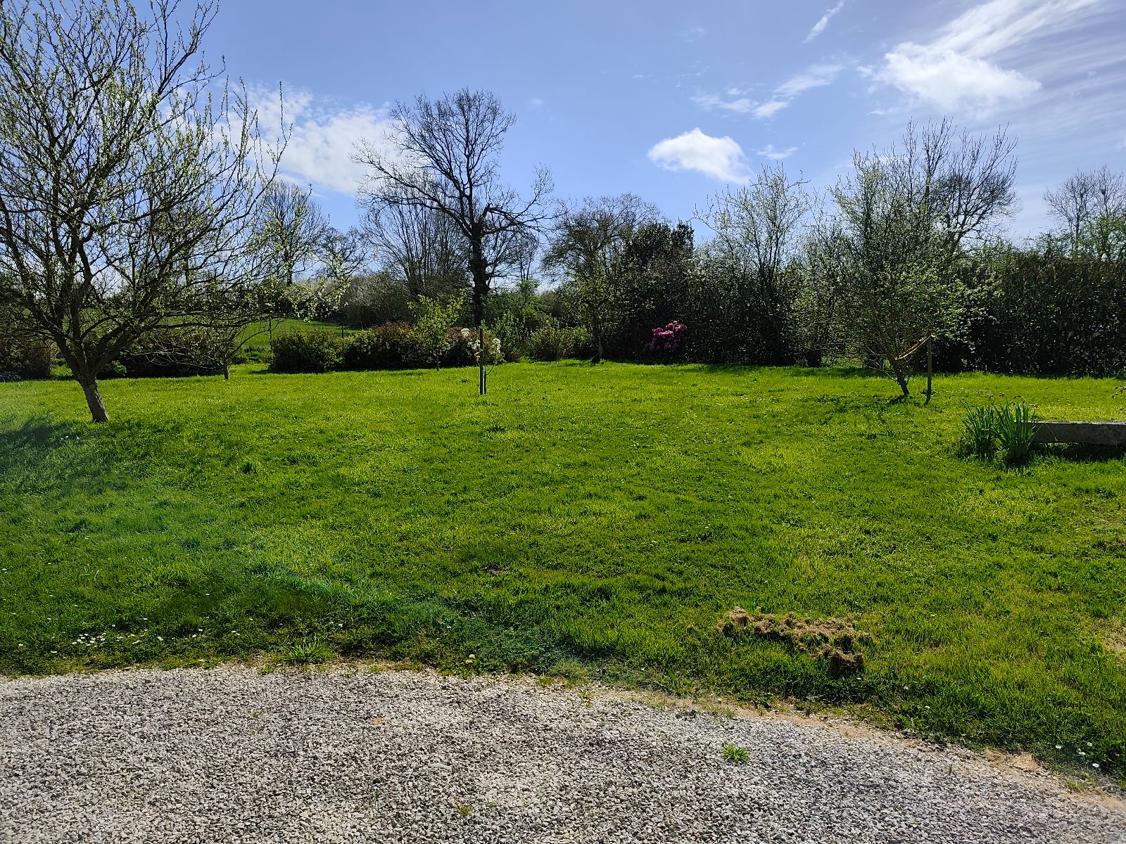 un aperçu du jardin un aperçu du jardin