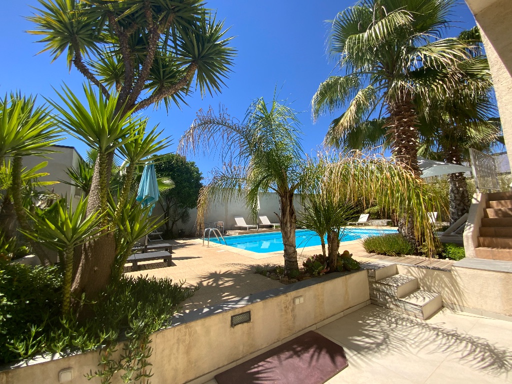 Terrasse Palmier coté piscine
