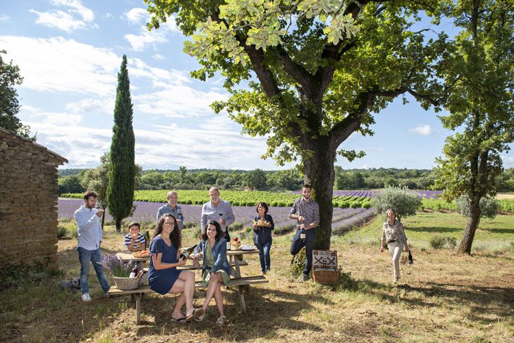 Picque-Nique Vigneron Picque-Nique Vigneron