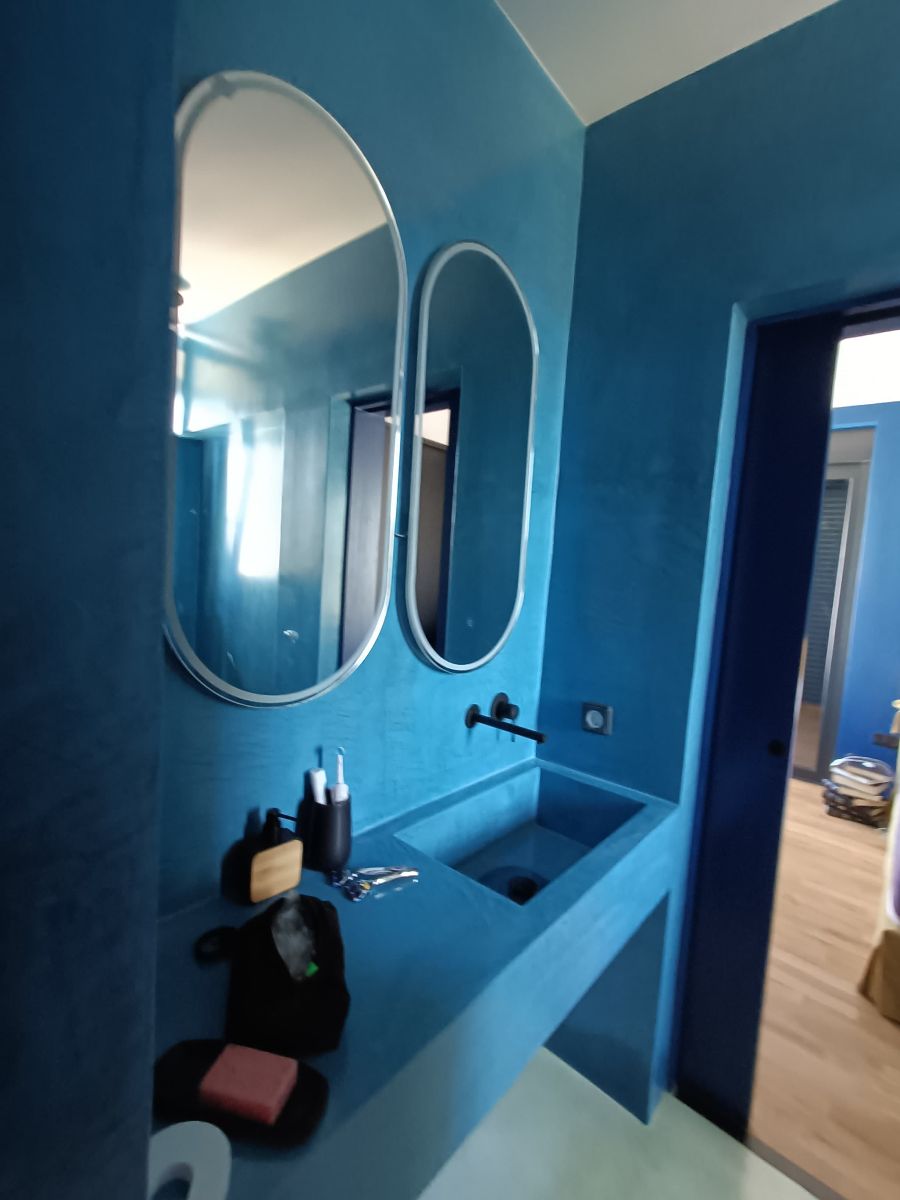 la salle d'eau privée de la chambre ''bleue'' la salle d'eau privée de la chambre ''bleue''