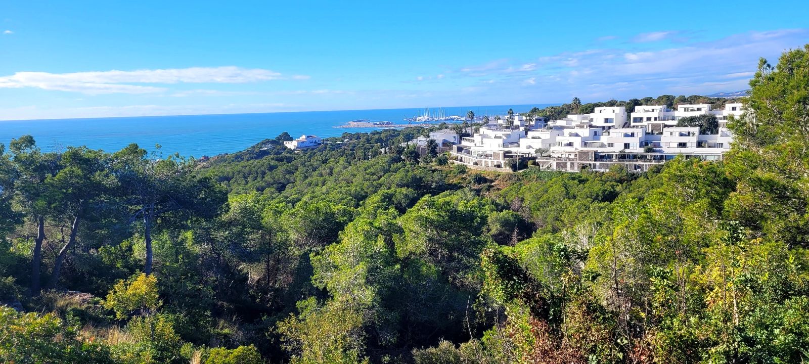 view from the bedroom! view from the bedroom!