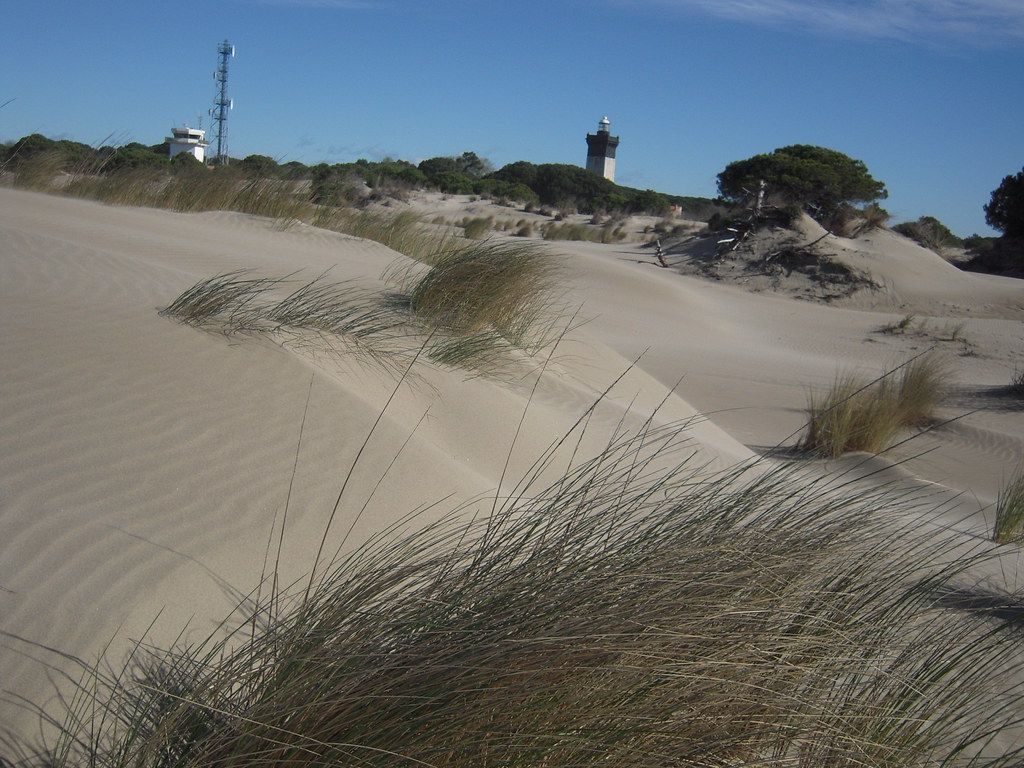 les dunes