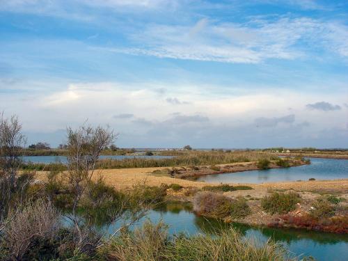 Une nature magnifique Une nature magnifique