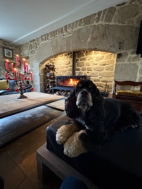 Preston notre mascotte Preston notre mascotte