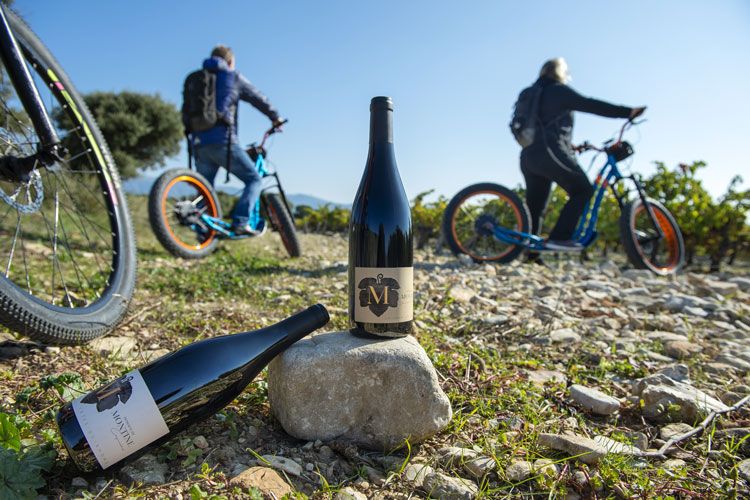 Tour en trotti bike Tour en trotti bike