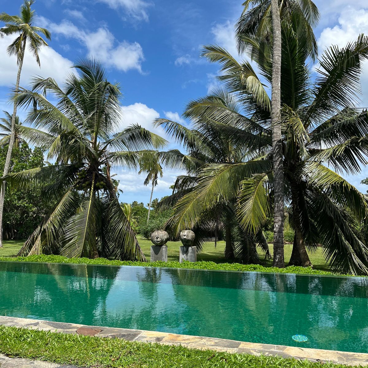 Infinity pool with garden Infinity pool with garden