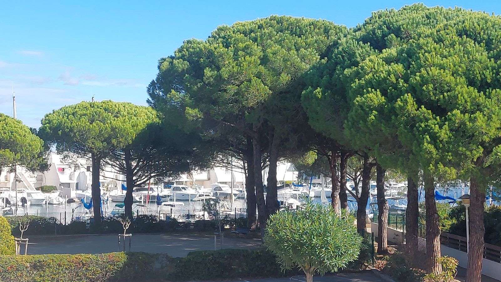 vue sur le port depuis le balcon