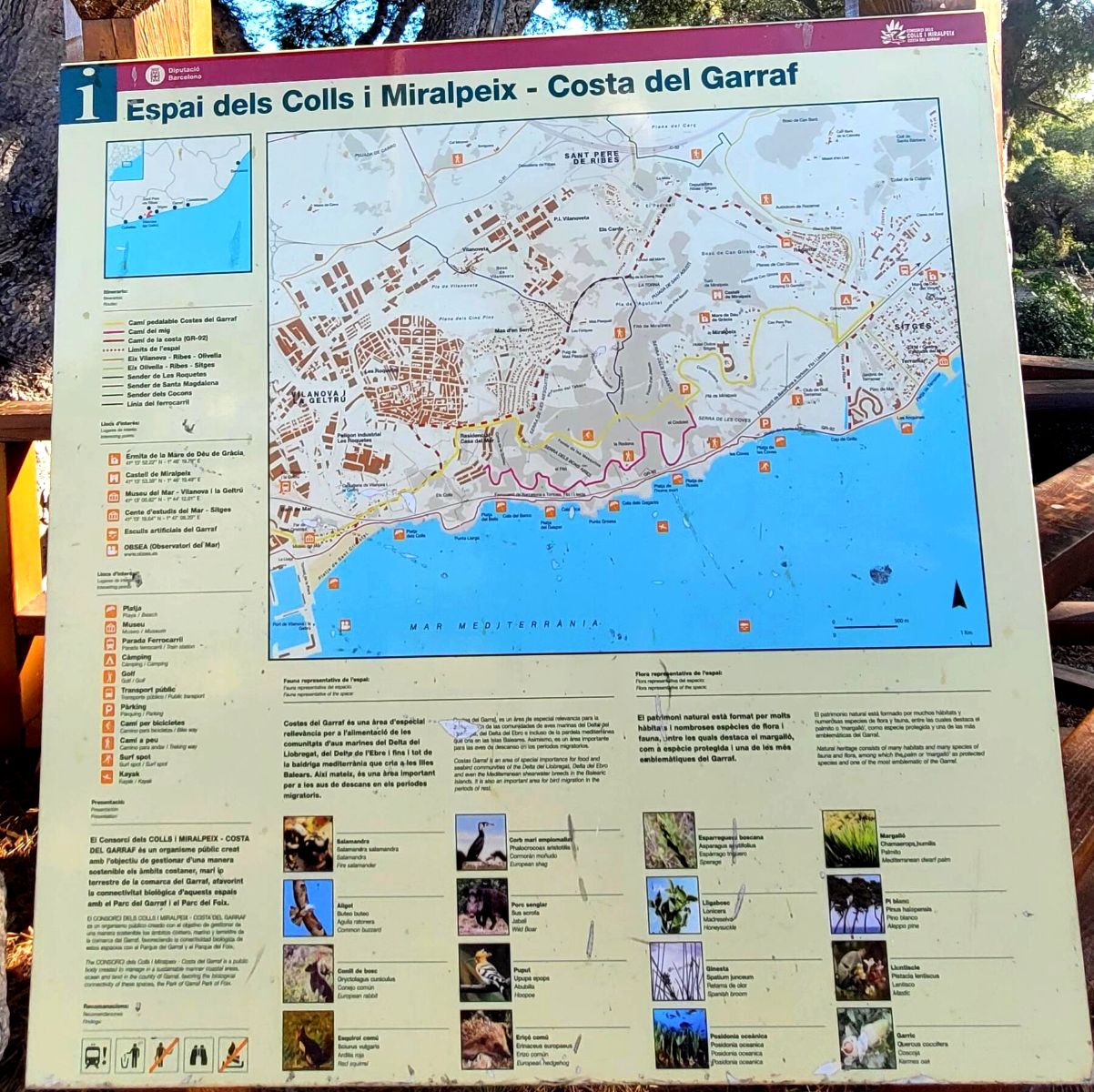 front of the apartement the access to baech or Sitges by foot in natural park front of the apartement the access to baech or Sitges by foot in natural park