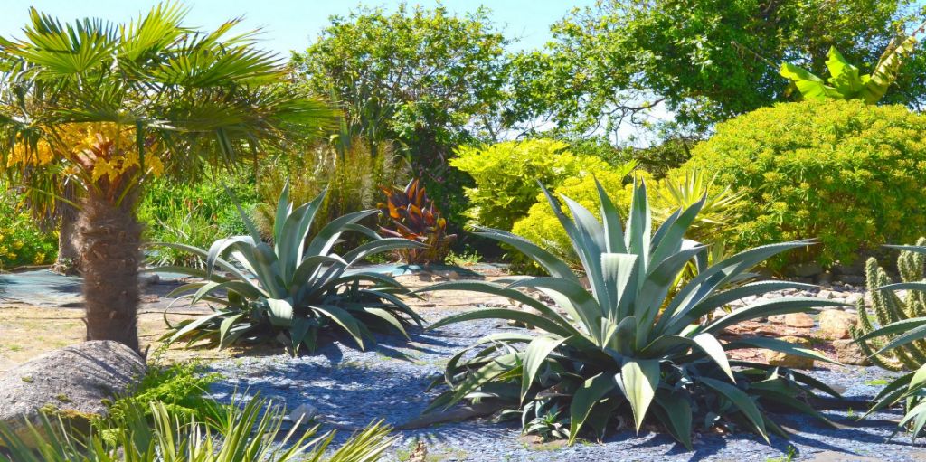 jardin exotique Le Nid d'iroise