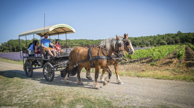 Tour en calèche Tour en calèche