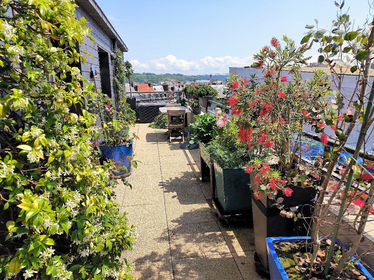 La plus grande des terrasses oriente au sud