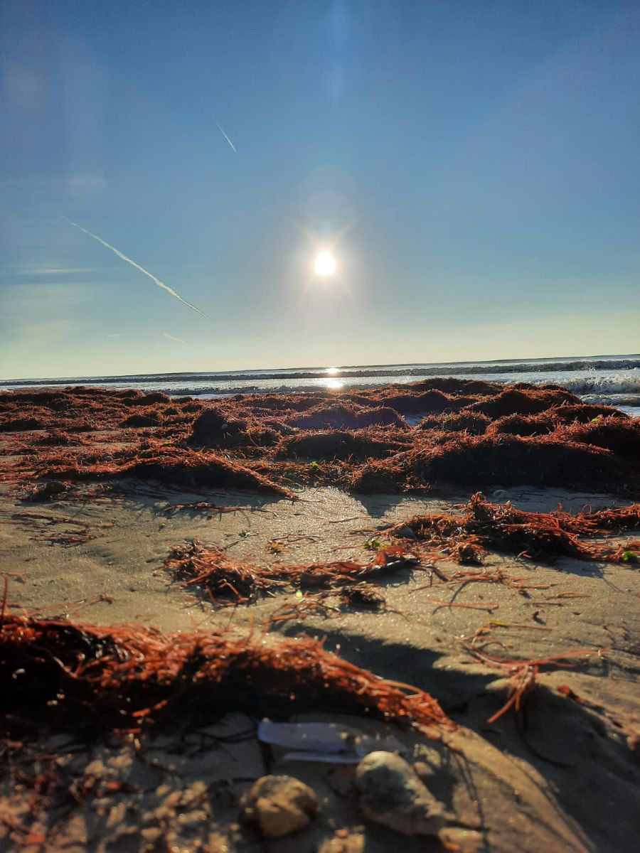 Plage des Layes (A moins de 20km)