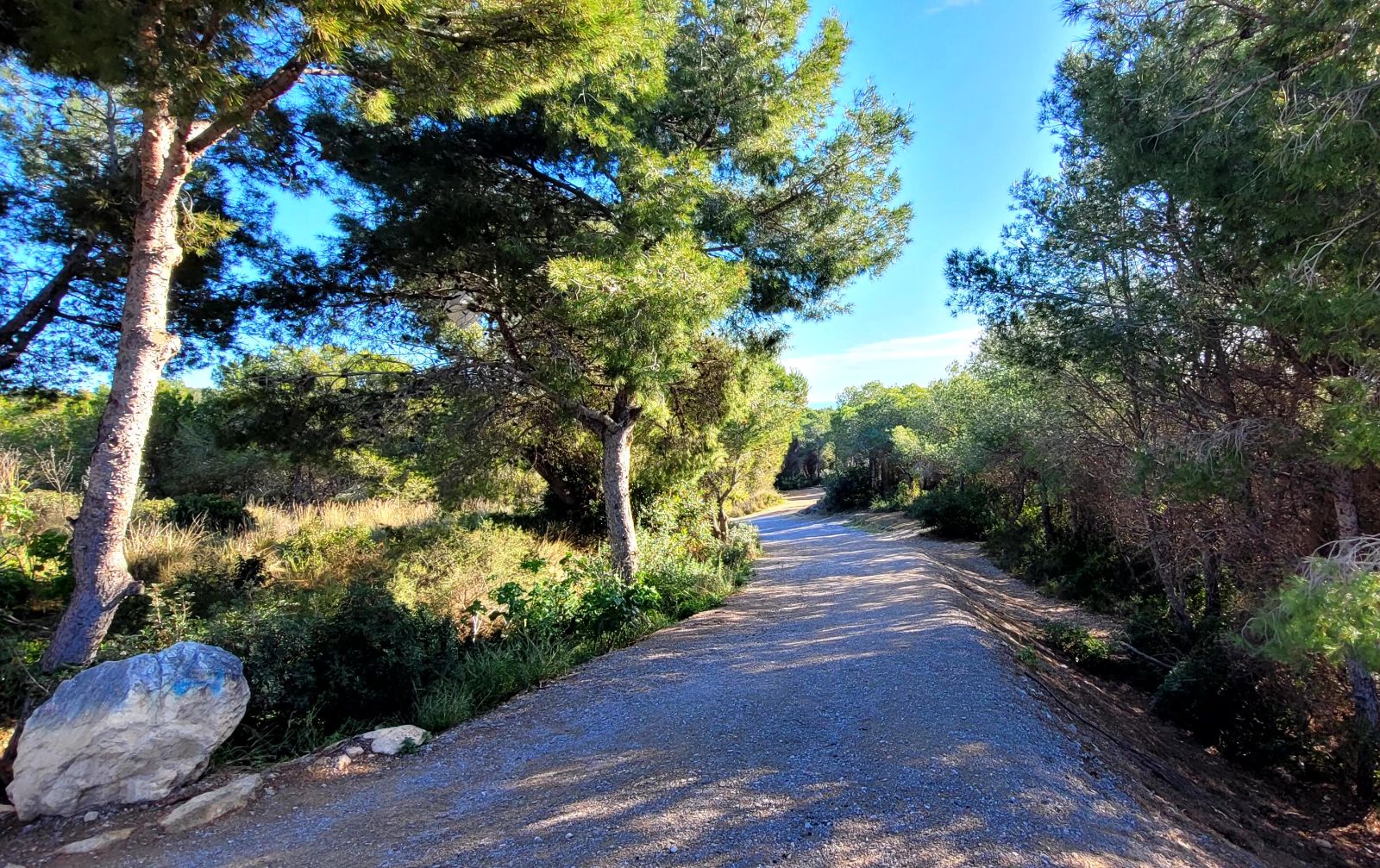 access direct from the apartment to Muerte beach access direct from the apartment to Muerte beach