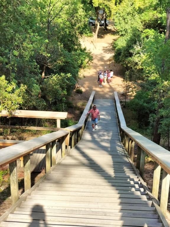 LE PEY DE LA BLET LA FORET LE PEY DE LA BLET LA FORET