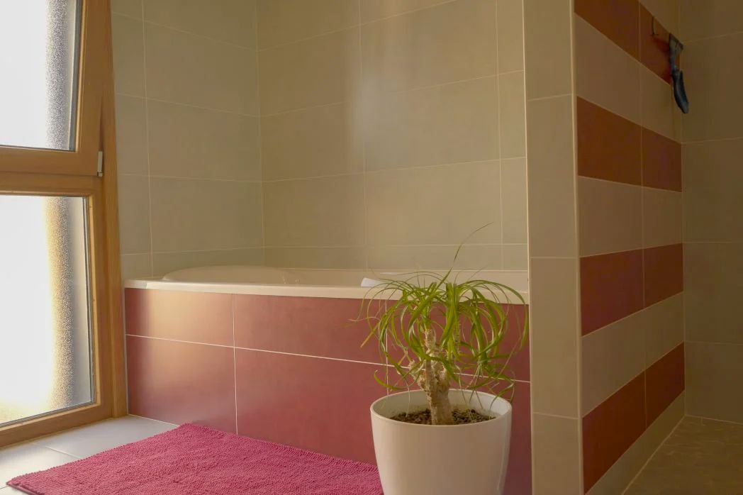 SDB Prive avec Douche et Baignoire 