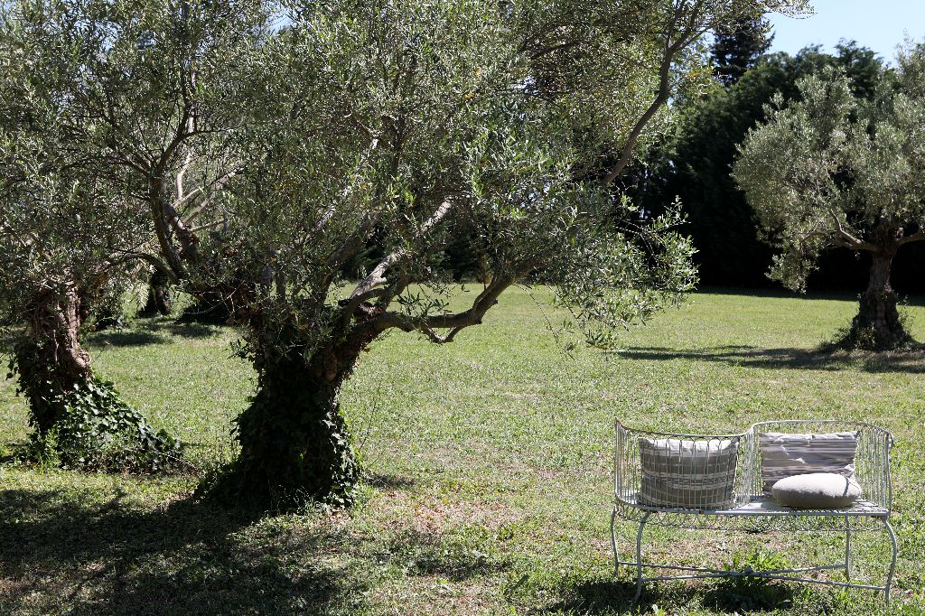 Vue sur le parc Vue sur le parc