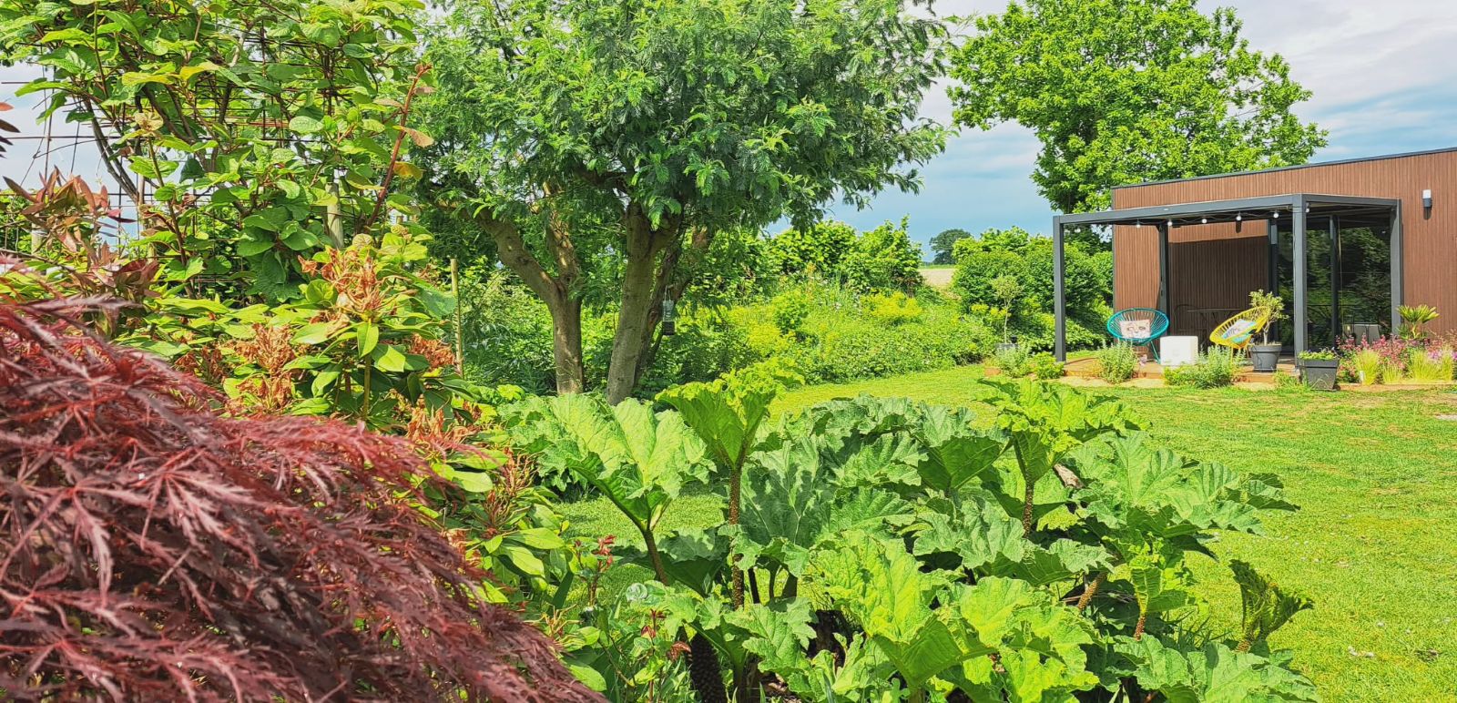 La terrasse du studio