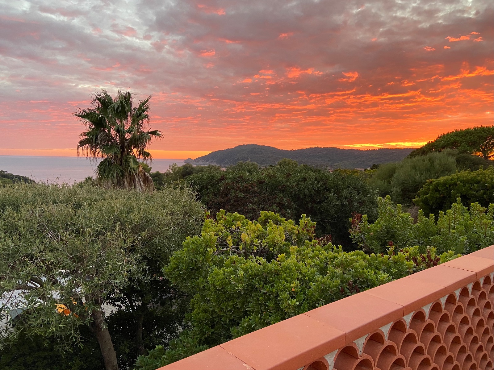 La Thbaide du Levant - studios de charme sur lile du Levant