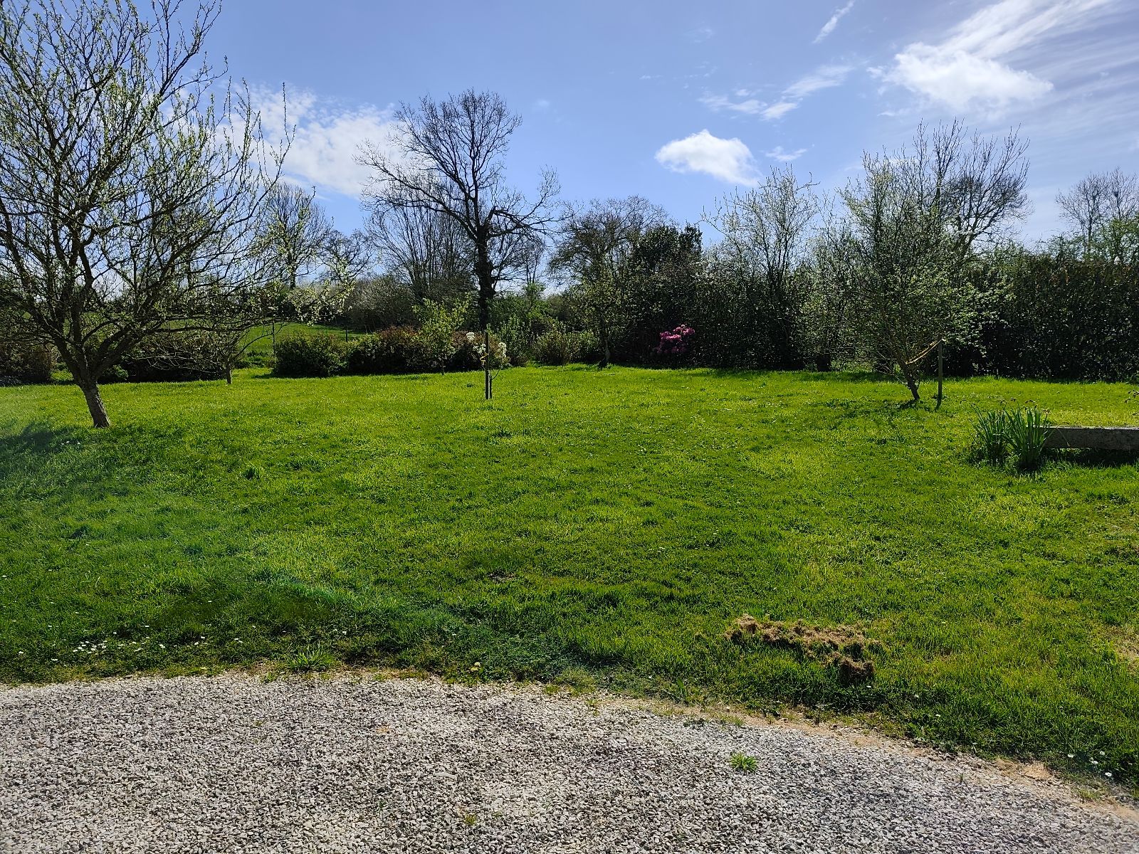 Un aper�u du jardin