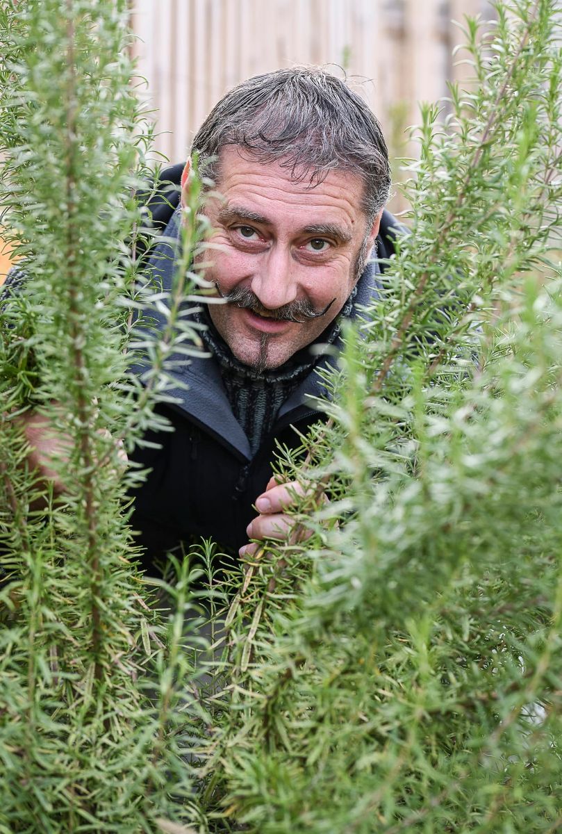La Maison Fleur de Frangipanier