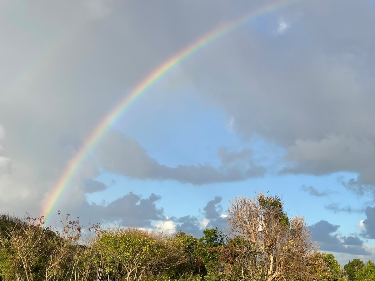 La Glycine, chambre d'hôtes près de Senlis La Glycine, chambre d'hôtes près de Senlis