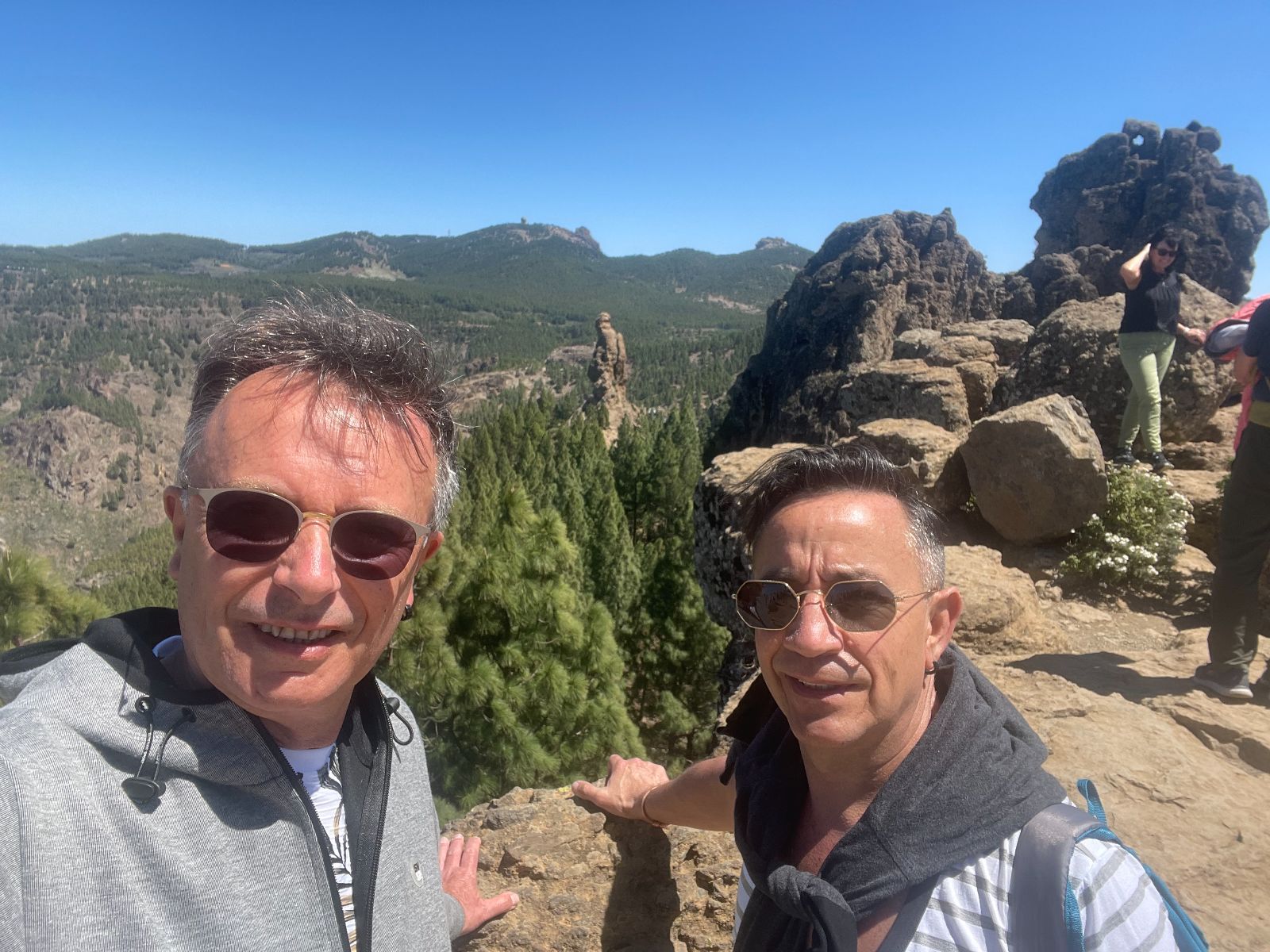 Nest of Creation: Bed and Breakfast and Vacation Rentals